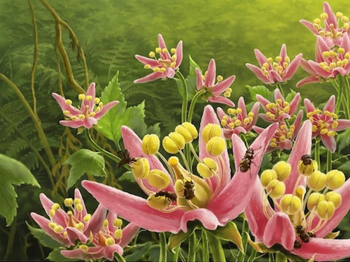 ׳Ϊڸߵȱֲﴫ۵̬ԭͼݻƣ