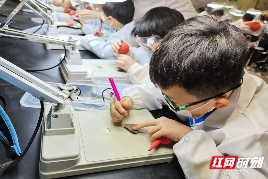 ����ʡ���ʲ���ݻ����й�����ѧ���ѧ������ѧ����