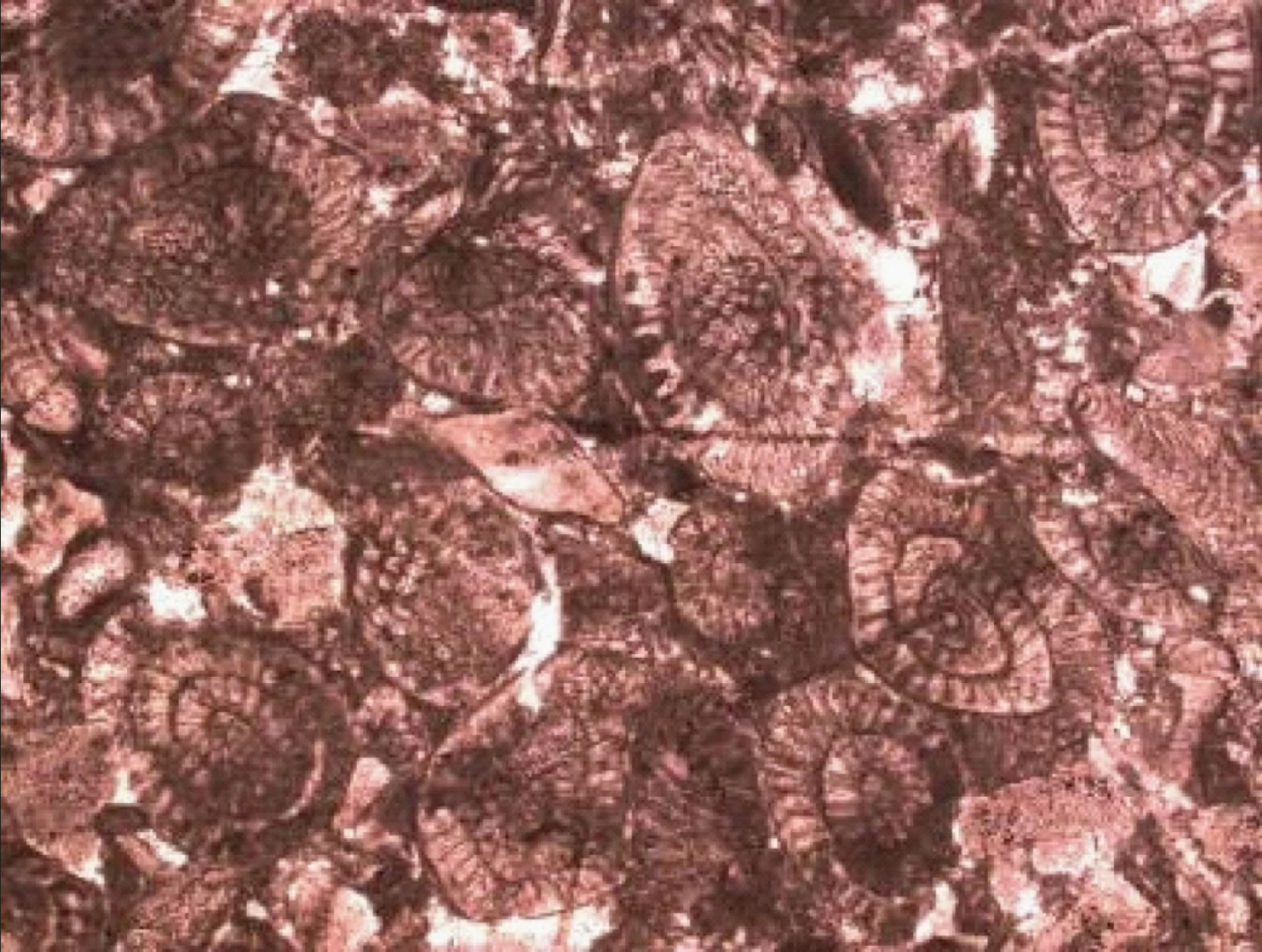 ������ĩ��������ද�ﻯʯ����ͼƬ�������Ӱ������飩