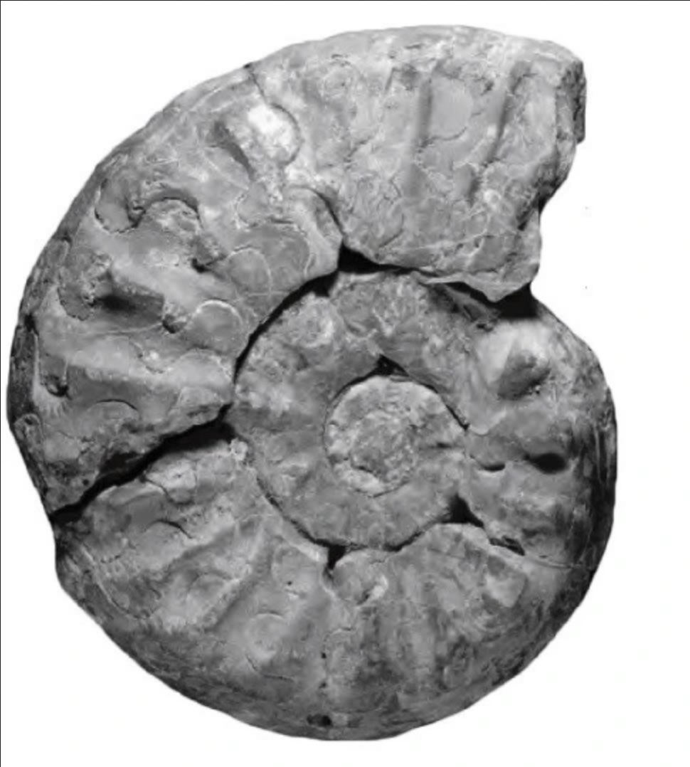 ������ĩ����Ķ����ʯ��ʯ����ͼƬ�������Ӱ������飩