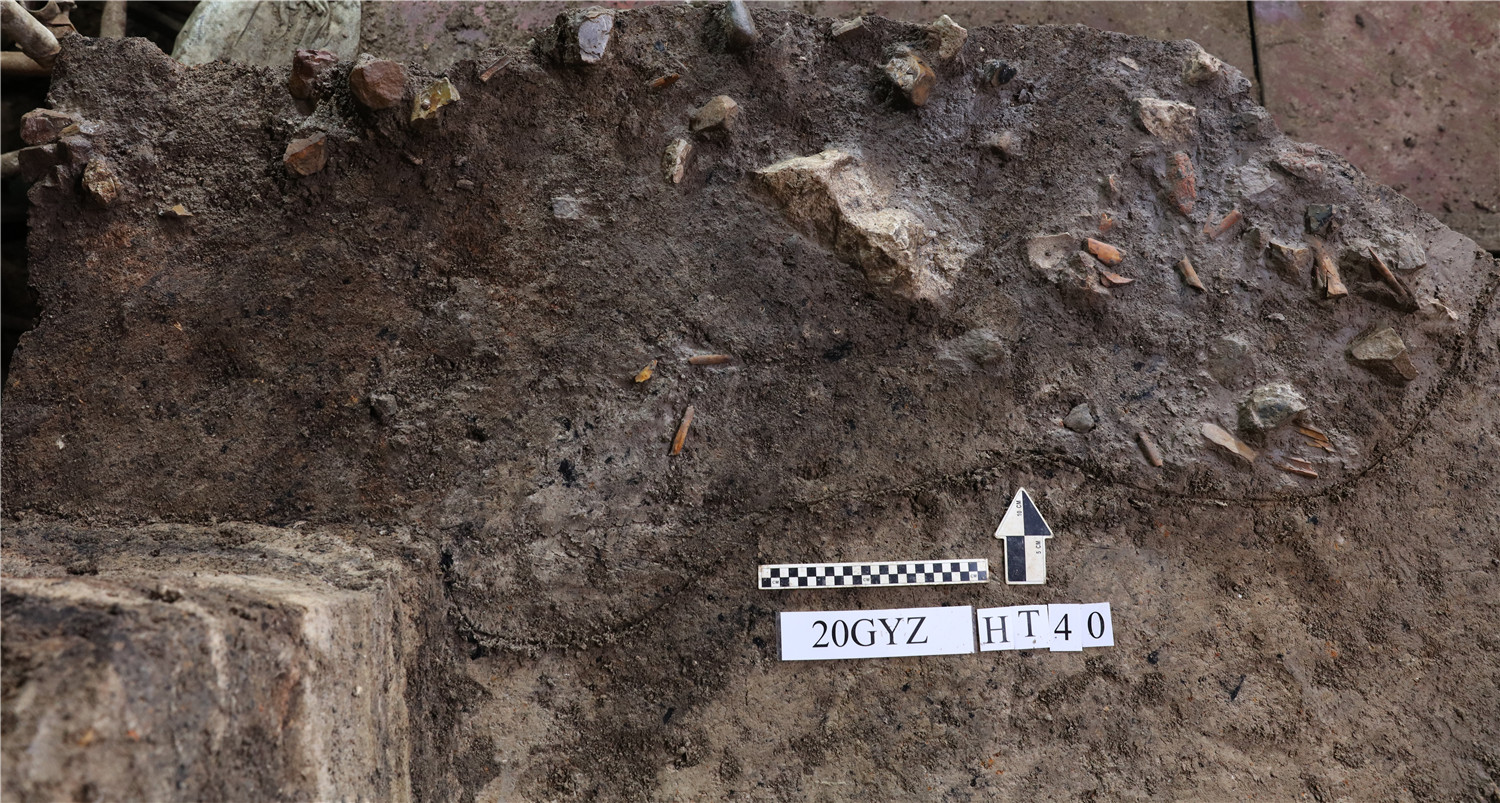 2020���ȫ��ʮ�󿼹��·��ֽ��������ݹ������й�����ַ