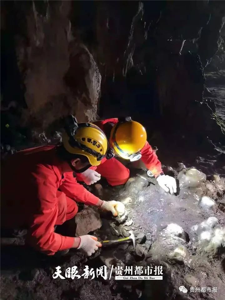 ���ݹ��й������ţ�Сʯ������ܡ��������й����Ϲ�������������