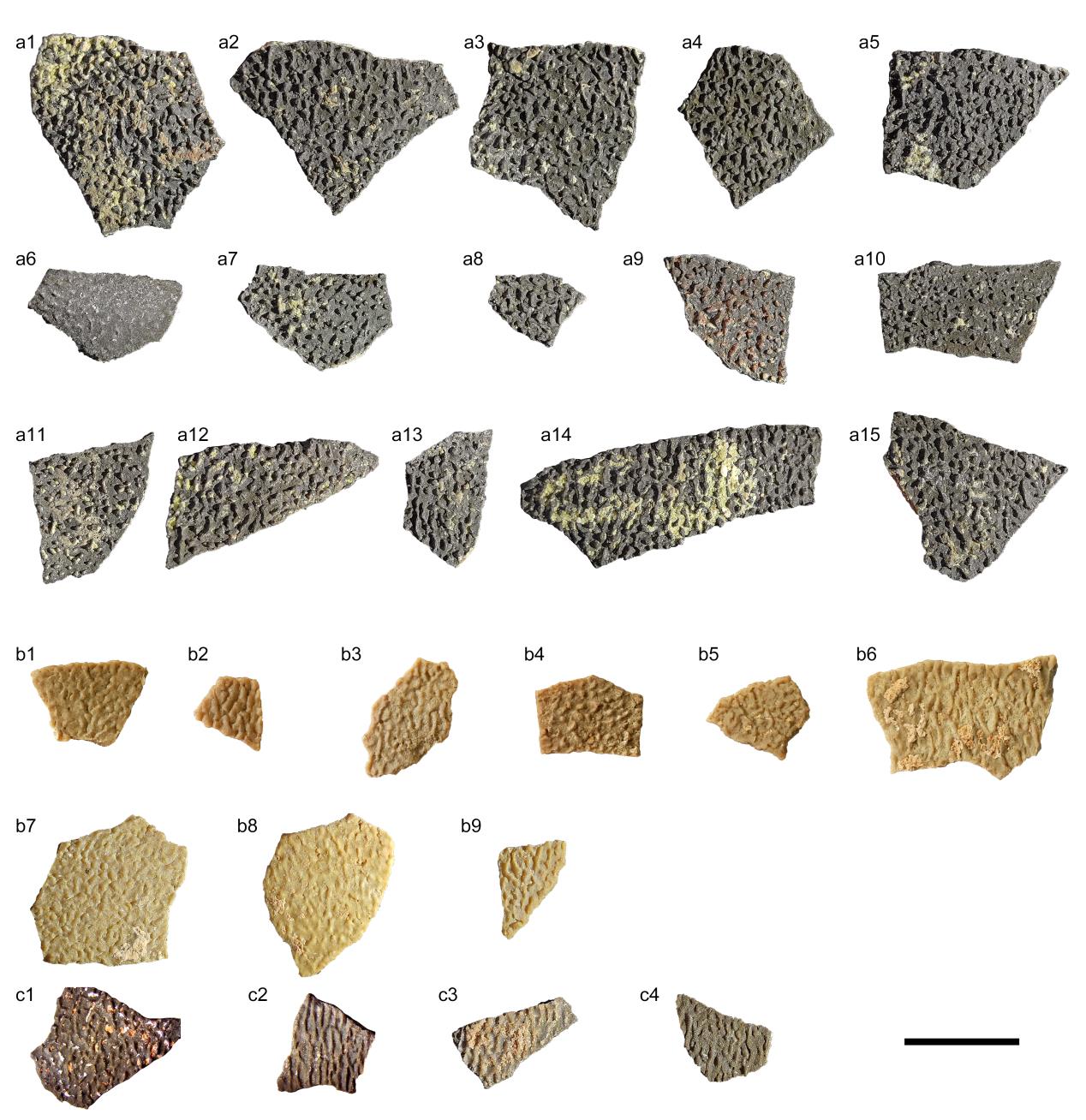 ƺ����㵰������Ƭ��a��b��c�ֱ�������ۡ�ɽ���������Ĳ��ϣ����Ϊ1 cm��