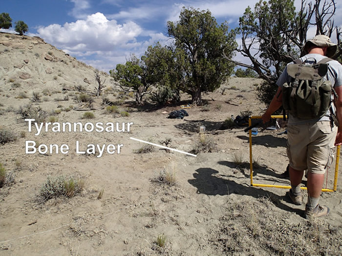 ���о��������������ܾ������岶�� ���Ƕ�����