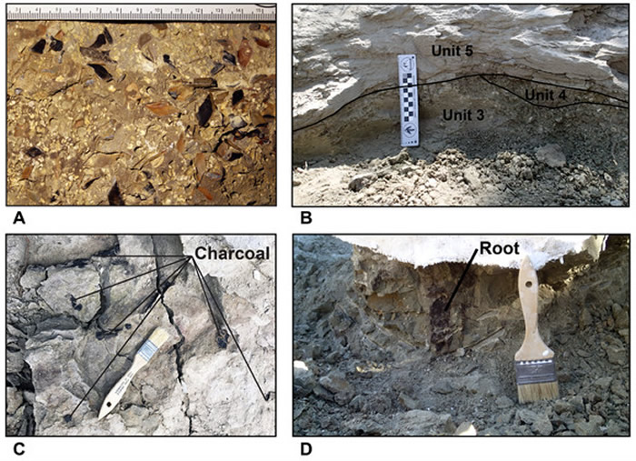 ���о��������������ܾ������岶�� ���Ƕ�����