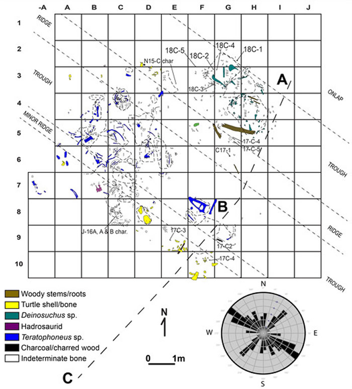 ���о��������������ܾ������岶�� ���Ƕ�����
