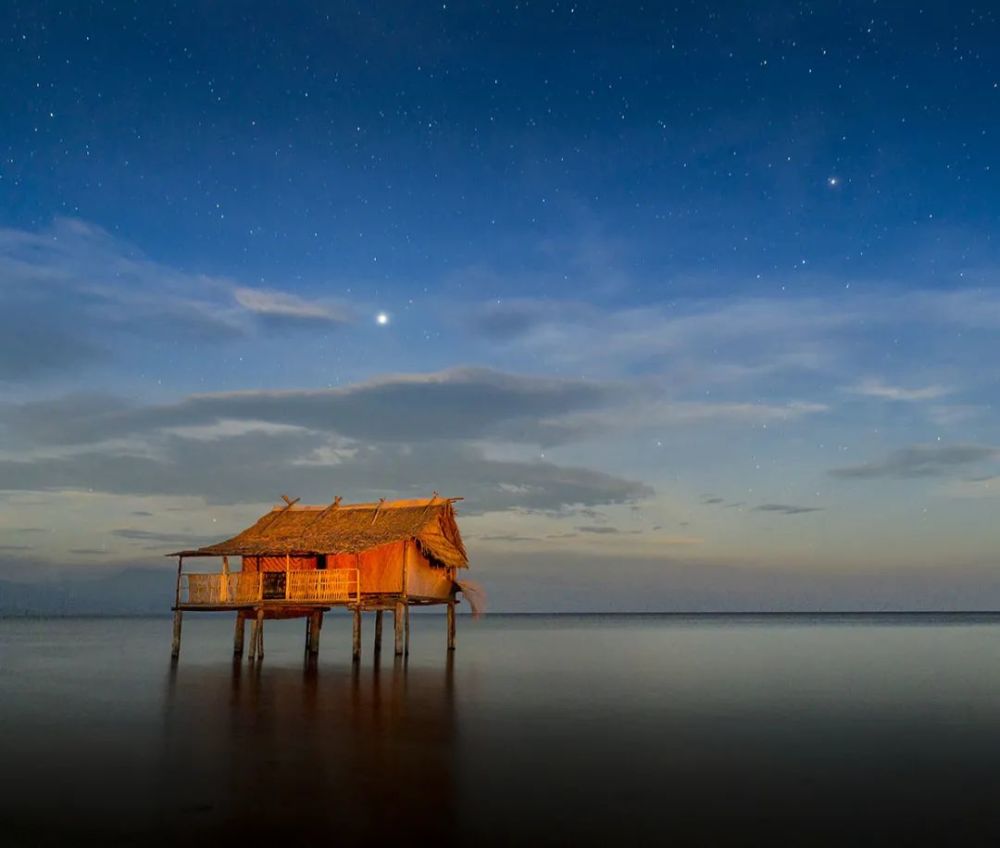 �Ͳ����¼������²��еߵ�Tamuniai��ľ׮�ϵ����ӣ���Ȩ Marc_Dozier��������Ȼ����ͼ