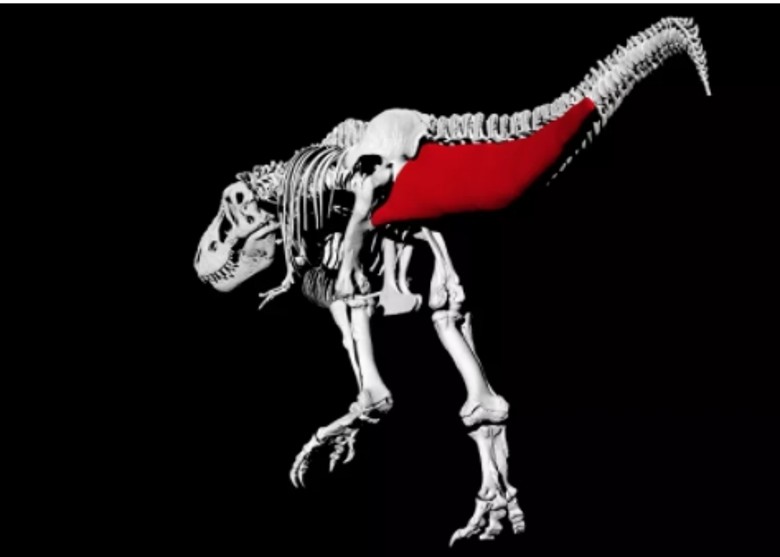 �о�������������·��������ಽ�е�ƽ���ٶ�