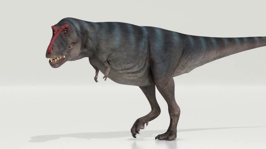 �о�������������·��������ಽ�е�ƽ���ٶ�