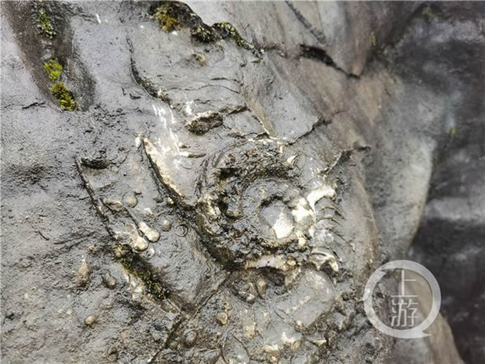 �ƹ�ɽ�ϵ�2�ڶ���ǰ��ʯ��ʯ�����캣½��Ǩ������֤��