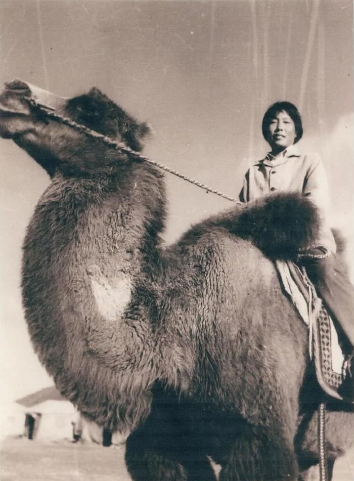 ���У�����ʮ���ഺ��дŮ���ʹ����ߵļҹ��黳