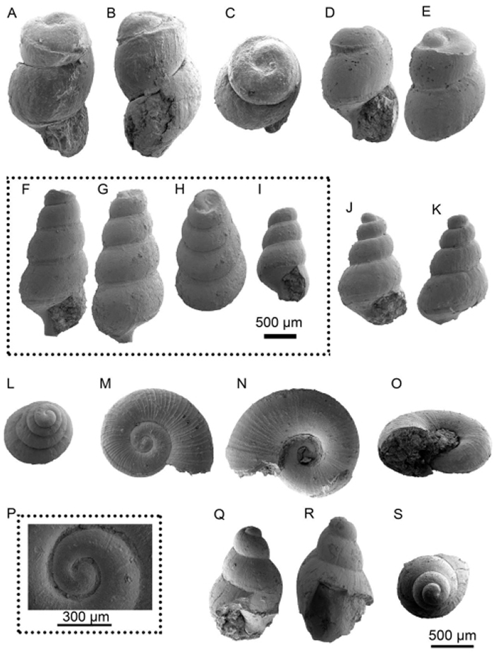 ������ؽ�����Ǻ��ู���໯ʯ