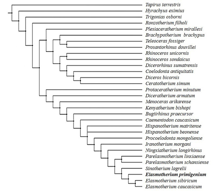 ���Ϭϵͳ������ϵ������� ���ﵤ�Թ�ͼ��