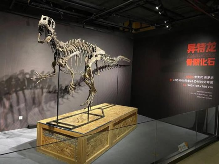 ٪�޼���ʳ����������ʯ��5��1������������Ȼ��ѧ�����չ��