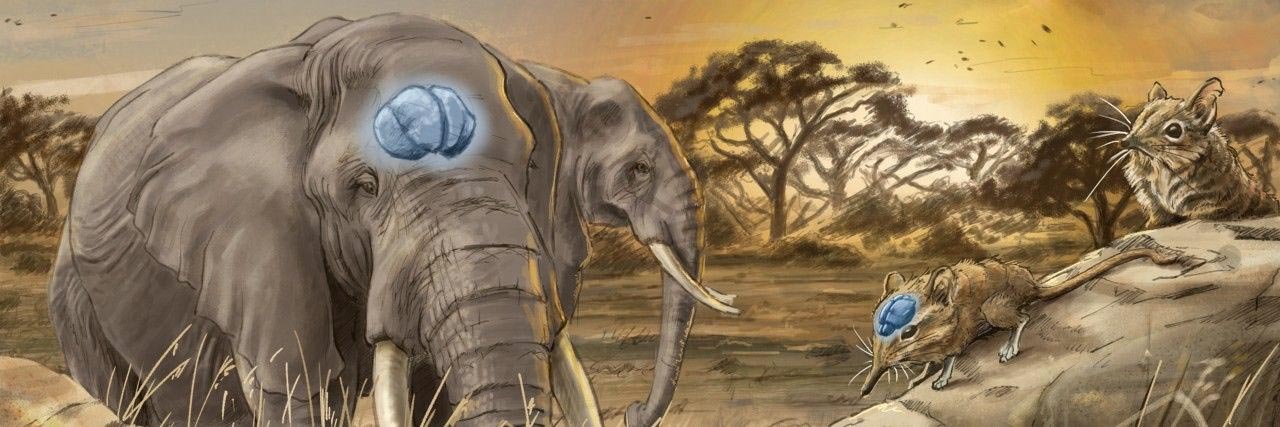 ���о�ָ���鶯�����������¼�֮����������Դ�