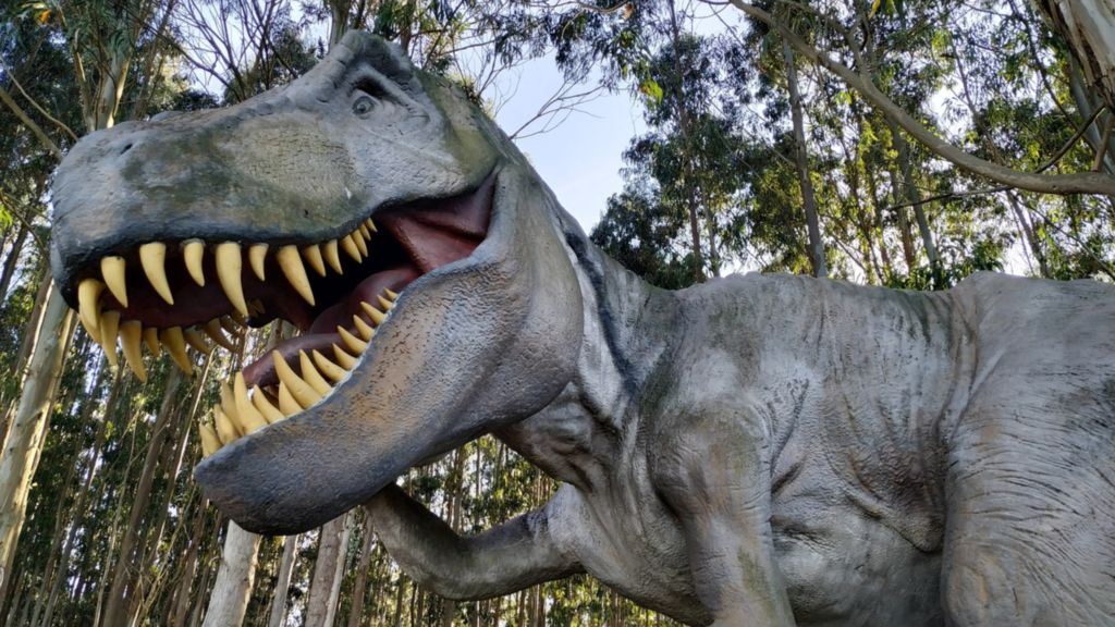 ���������ݷ��ֵĻ�ʯ��ʾ��������Ⱥ�Ӷ��� ��������һ����Ⱥ��Ӳ���