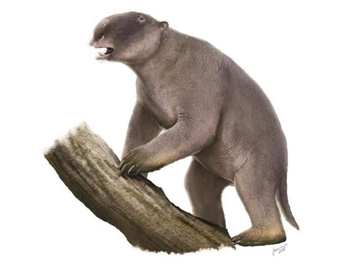 ��������һ������ţ��С��Զ�����������ؿ��ܴﵽ500������Ǹ�����ʱ������Ĵ����д�����֮һ���ܿ����Ǳ���ʱ��ĩ�������ʧ�ġ�