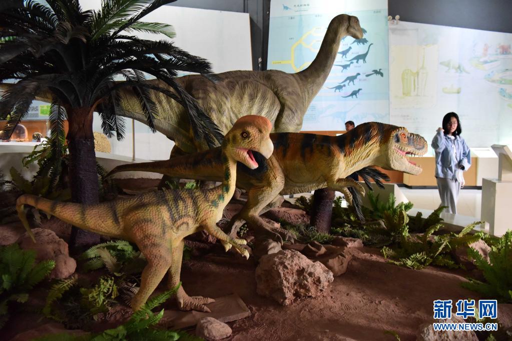 ����һ�����ڵ����������������ҵ��ʹ�԰�˽������Ŀ����Ļ�