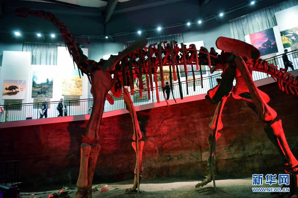 ����һ�����ڵ����������������ҵ��ʹ�԰�˽������Ŀ����Ļ�