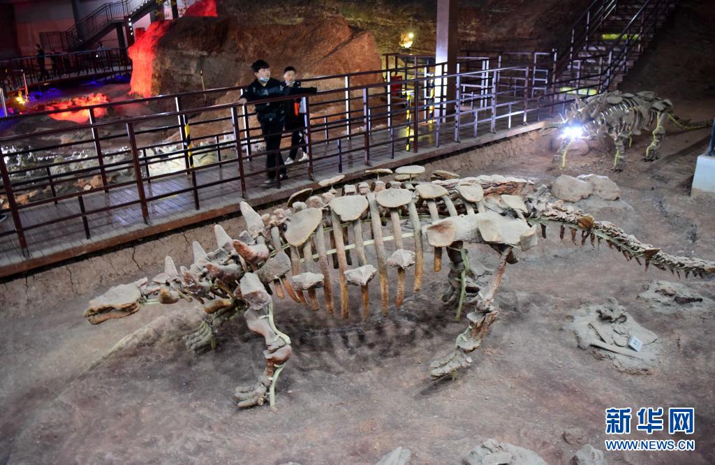 ����һ�����ڵ����������������ҵ��ʹ�԰�˽������Ŀ����Ļ�