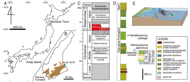 �ձ��ϲ����췢���µ�Ѽ��������Yamatosaurus izanagii