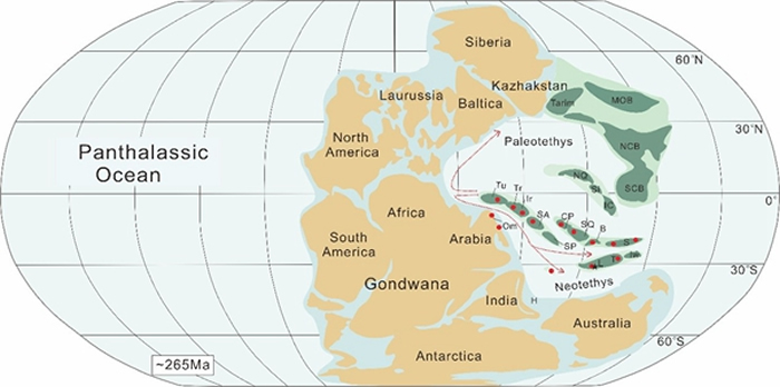 Shanita-Hemigordiopsis组合的分布图