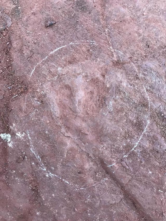 1����ǰ�����������ڿ�������һ����ӡ ������ѧ�Ҳ��������ʱ��