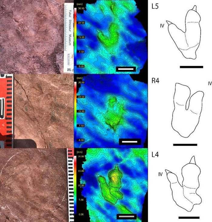 1����ǰ�����������ڿ�������һ����ӡ ������ѧ�Ҳ��������ʱ��