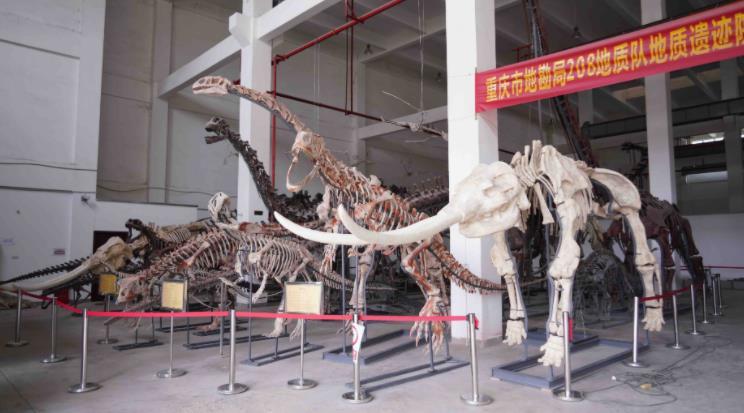 ���干����������Ż���Эͬ�ݻ��������ص�ʵ���һ���