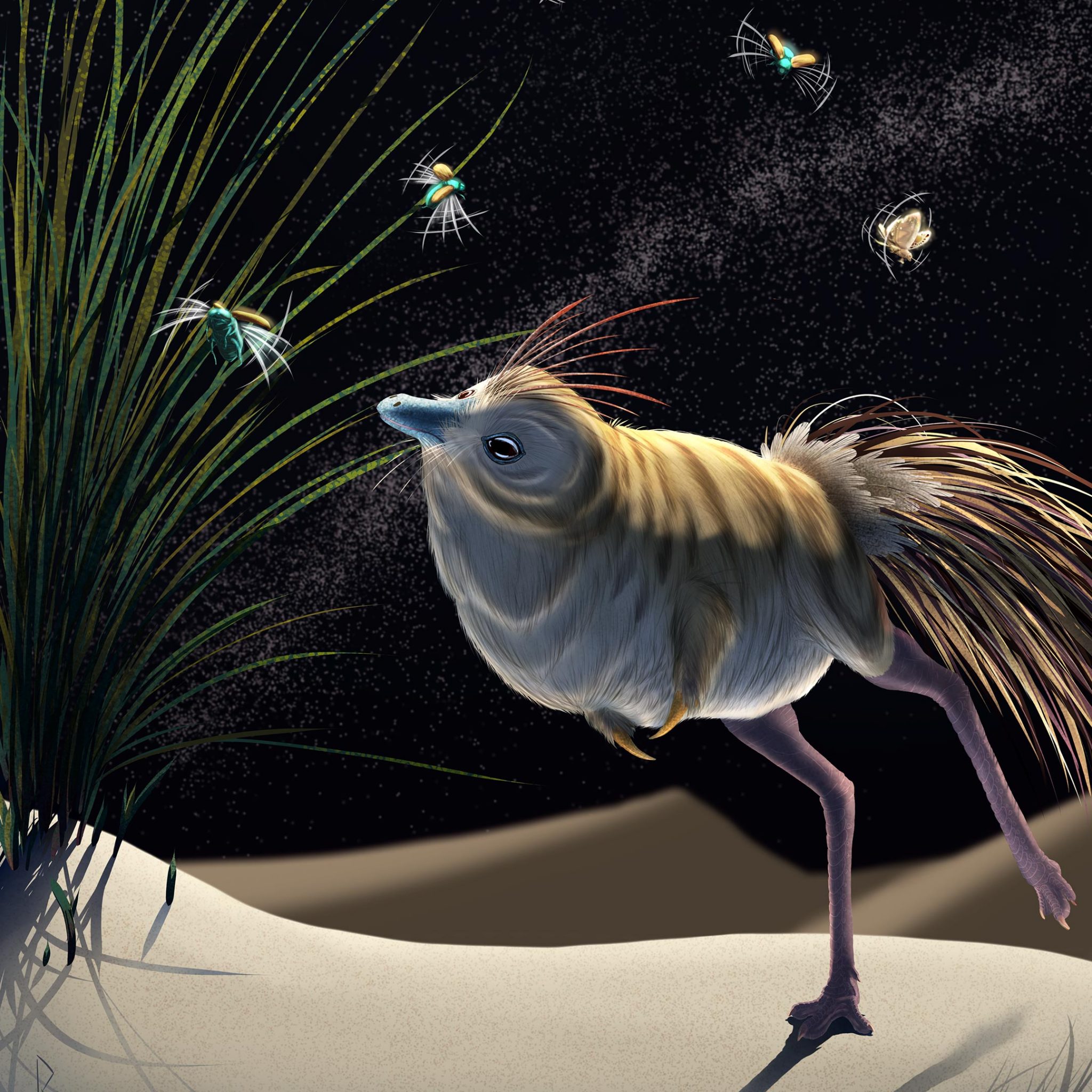 С���޽���ĿShuvuuia��������ȫ�ڰ��Ļ����в�ʳ�����ؿ���