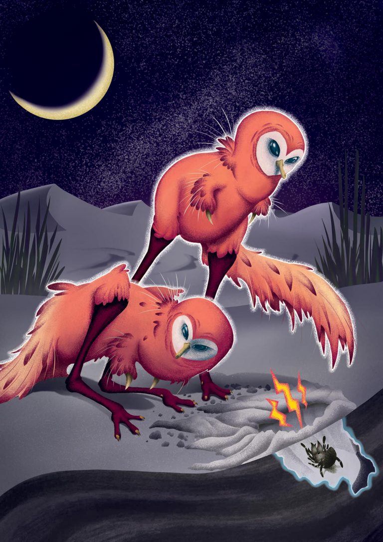 С���޽���ĿShuvuuia��������ȫ�ڰ��Ļ����в�ʳ�����ؿ���