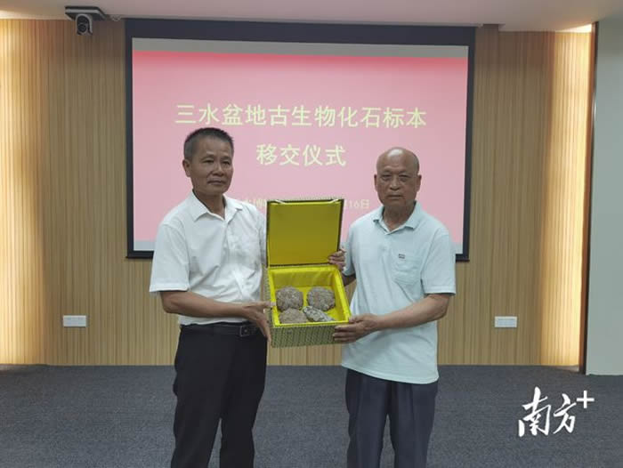 ���ʲ�����գ��㶫ʡ��ɽ����ˮ������ղصĻ�ʯչʾ��ˮ������������ݱ�