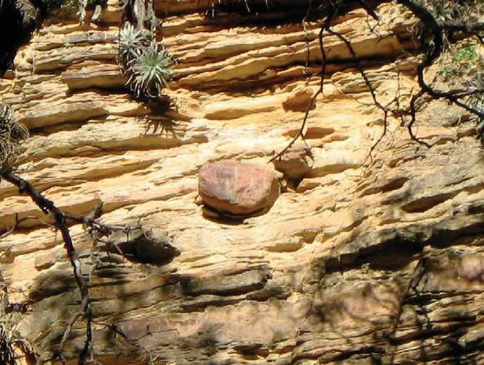 晚古生代大冰期的冰碛岩照片。美国加州大学戴维斯分校蒙塔涅斯教授供图。