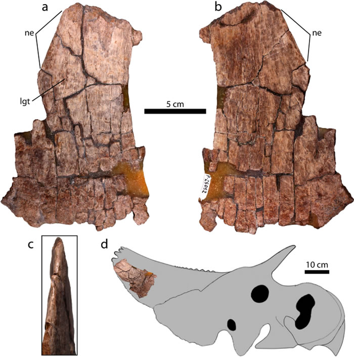 ������ī�����ݷ���Ŀǰ��֪����Ľ���֮һ  ����ǧ��������ǰ