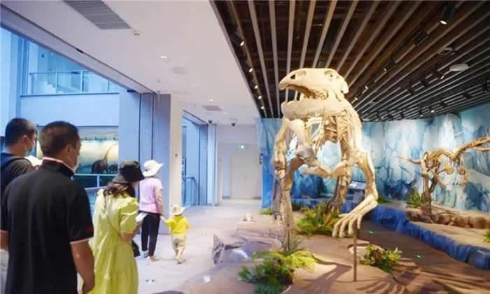 �Ӽ����������2�Ź���Ӫҵ