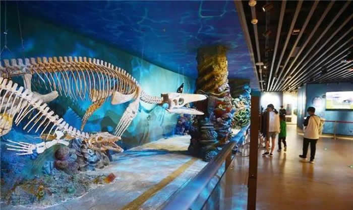 �Ӽ����������2�Ź���Ӫҵ