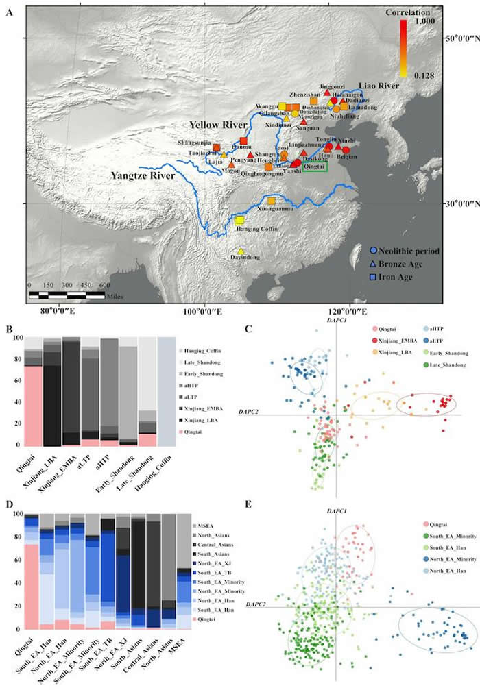 ����̨��ַΪ�����������Ļ���Ⱥ�������Ž���Ⱥĸϵ�Ŵ���ϵ�ȶԷ���ͼ��A. ��̨��Ⱥ�������Ŵ���Ⱥ����Ⱥ��ɽṹ�Ƚ��Լ���̨��ַ����λ�ã�B. ��̨��Ⱥ�������Ŵ�