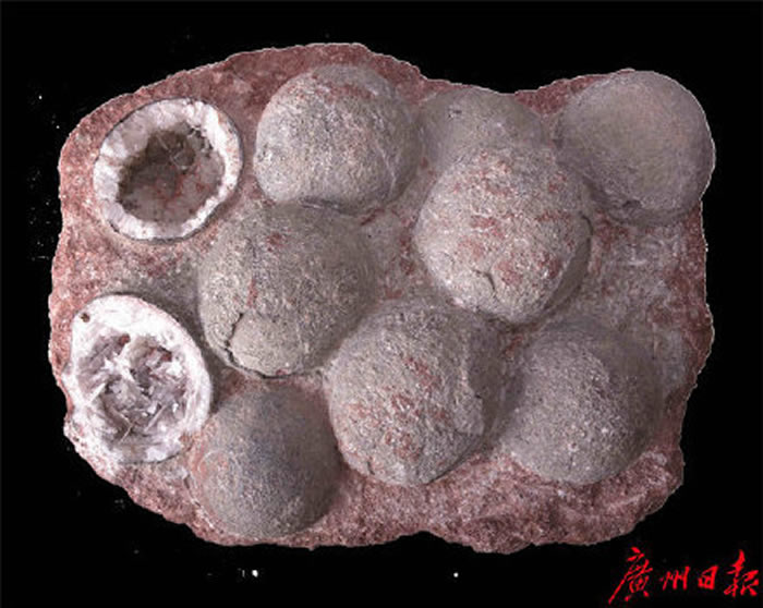 �㶫��Դ�������������·�������ͷ�������