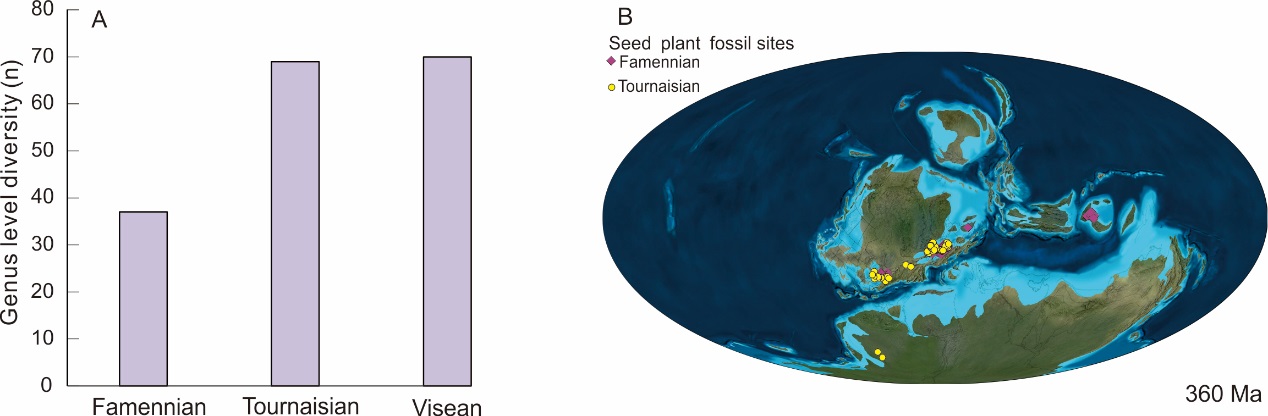 晚泥盆世-早石炭亚纪种子植物属级多样性和分布范围变化