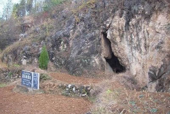 ����ʡ��������������ͨũ����˳���ʮ����һ���ػ�50����ǰ��ʯ����ַ