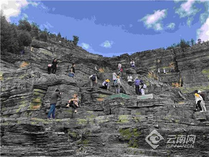 罗平生物群国家地质公园:重现2.44亿年前的生物多样性