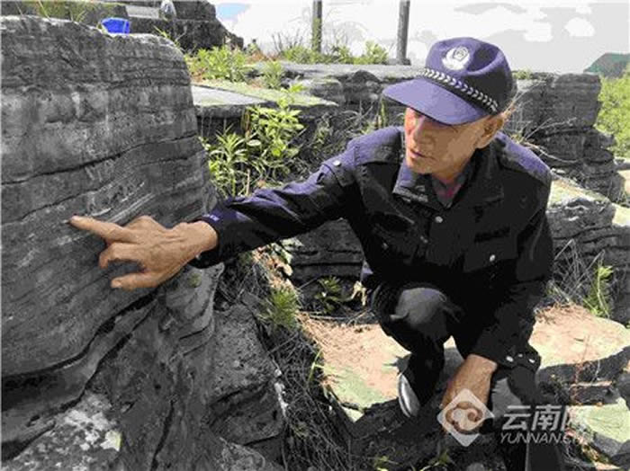 罗平生物群国家地质公园:重现2.44亿年前的生物多样性