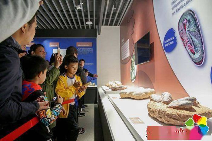 �Ӽ�ñ��ɽ���������Ļ����η羰���������������Ӫ����