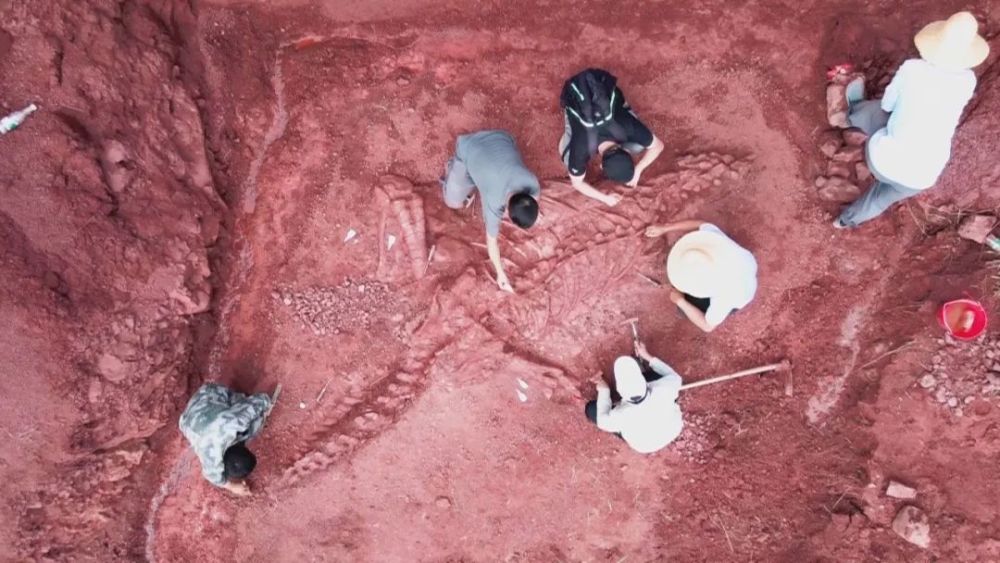 ����»�ᷢ��һ��¶���ر��Ŀ�����ʯ