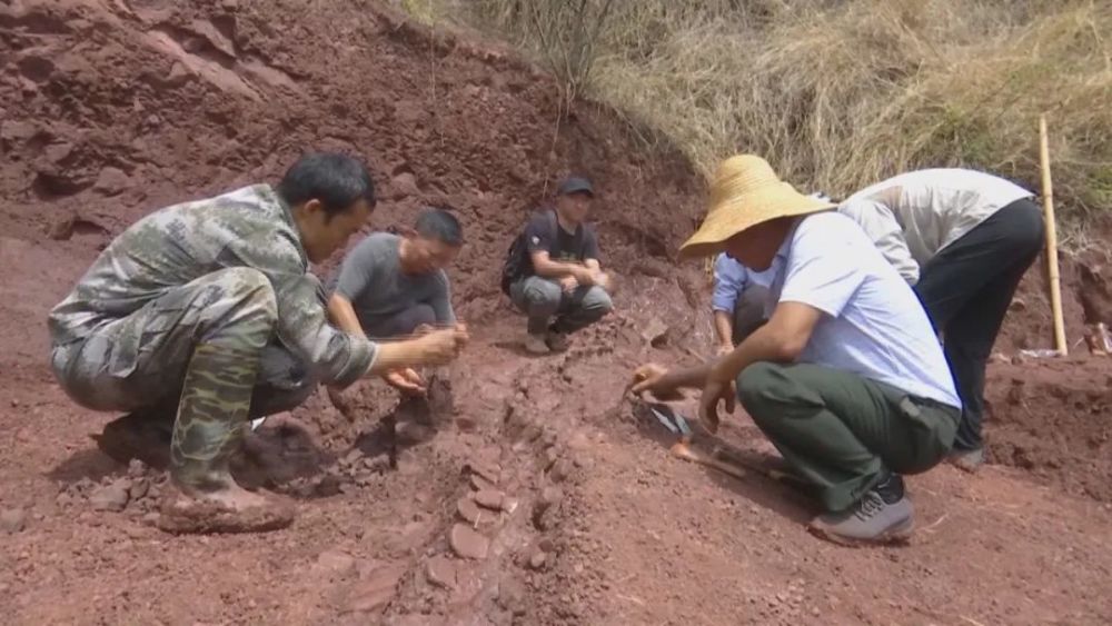 ����»�ᷢ��һ��¶���ر��Ŀ�����ʯ