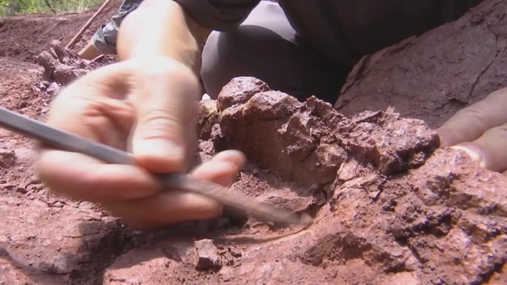 ����»�ᷢ��һ��¶���ر��Ŀ�����ʯ