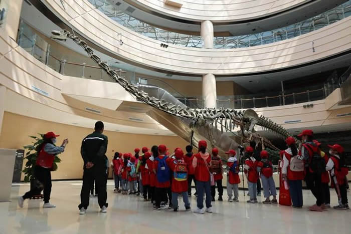 С���߻����������о� ̽����ԫ���Զ�Ź���