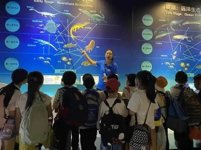 ����Ա���ܲ����֪ʶ��������ҵ��ʹ�԰������ṩ��