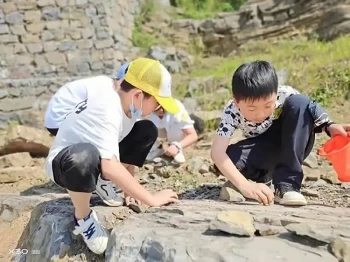 С�����������黯ʯ��Ƭ�ɼ���������ҵ��ʹ�԰������ṩ��