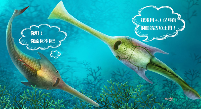 �ζ��ġ�����ꪡ������������㣨�ң�����ͨ�����㣨����̬��ԭͼ������棩